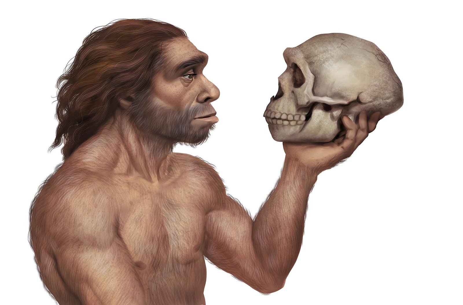 The Hypothesis of the Origin of Man and the Explanation of God
